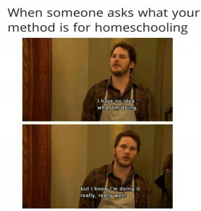 Homeschooling meme